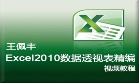 【王佩丰】Excel 2010数据透视表视频教程 完整版