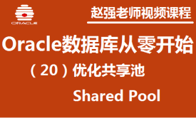 赵渝强老师：Oracle数据库（20）：优化共享池视频课程