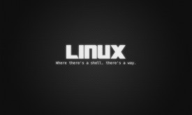 linux shell脚本项目实战视频教程