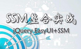 SpringMVC+Spring+Mybatis SSM整合实战视频教程