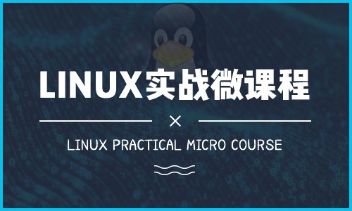 Linux实战微课视频课程
