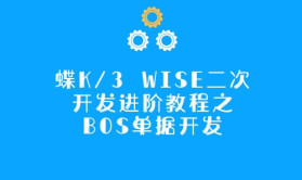 金蝶K/3 WISE二次开发进阶教程之BOS单据开发