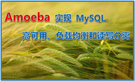 Amoeba 实现 MySQL 高可用、负载均衡和读写分离