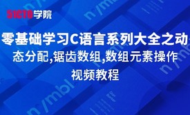 零基础学习C语言系列大全之动态分配,锯齿数组,数组元素操作视频教程