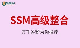 SSM高级整合 