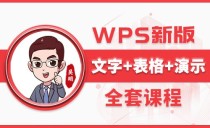 WPS/office零基础综合课