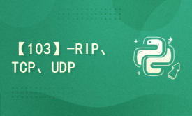 【103】-RIP、TCP、UDP