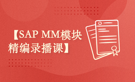 SAP MM模块精编录播课