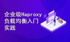 标杆徐LinuxSre运维系列：企业级负载均衡Haproxy2.4版本入门与实践（8讲）