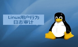 企业项目2-Linux用户行为日志审计实战视频课程(老男孩全新运维进阶系列L021)